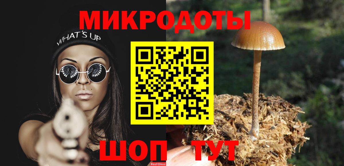 Псилоцибиновые грибы Psilocybe  закладка  Щёкино  Вход с VPN 